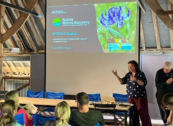 Kate Seven Sister.jpg